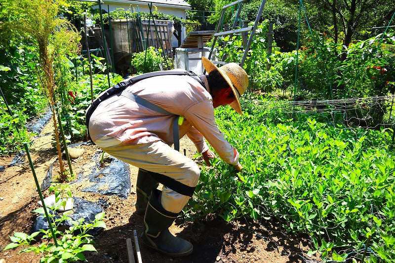 マッスルスーツSoft-Power EASY-LIFT（イージーリフト）